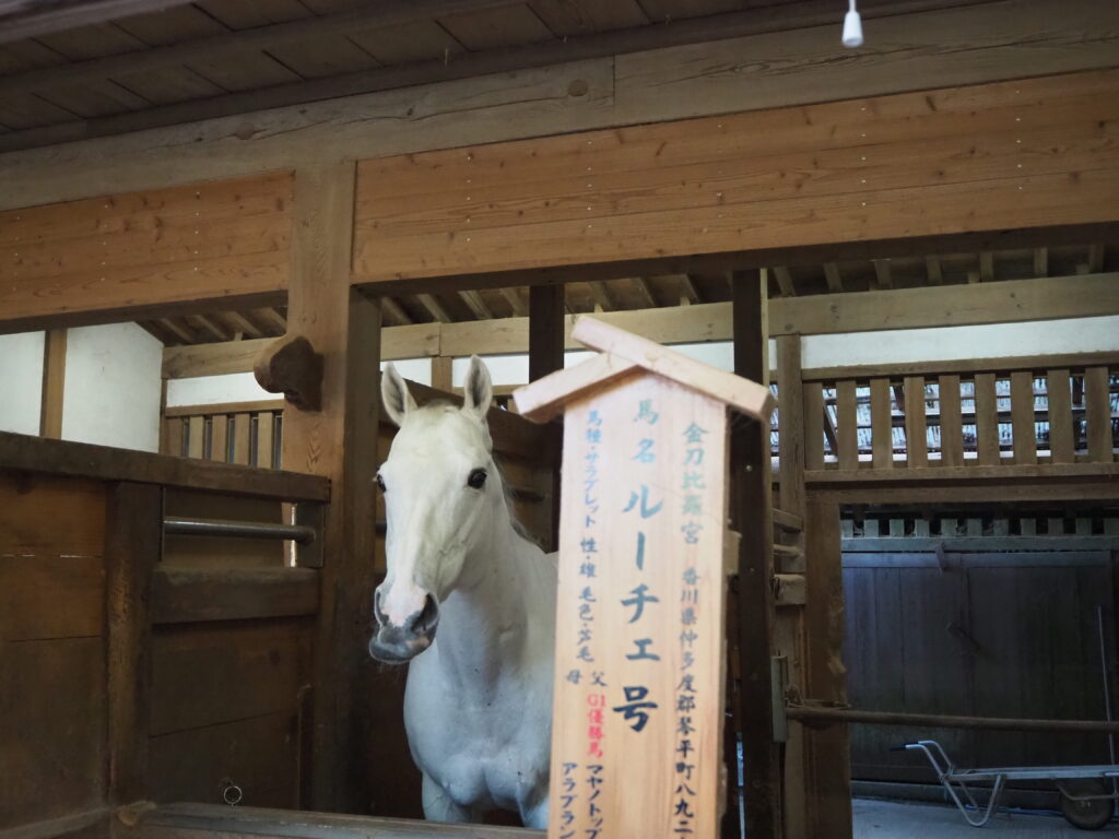 こんぴらさん食べ歩き⓹：429段目神馬の写真です。