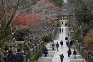 琴平の旅館に宿泊！満喫スポット②　金毘羅さん