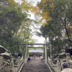 琴平の旅館に宿泊！満喫スポット②　金毘羅さん