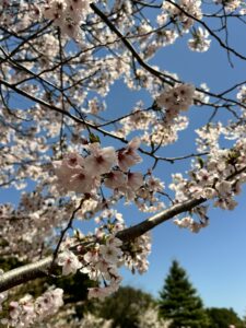 海の見える喫茶店⑤
