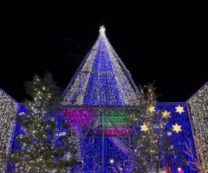 高知県 水車亭 クリスマスツリー①