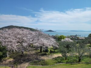 小豆島　オリーブ公園　概観