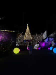 高知県 水車亭 クリスマスツリー②