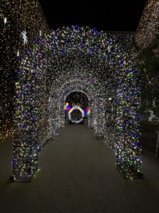 高知県 水車亭 写真スポット①