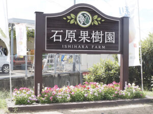 石原果樹園 看板 石原果樹園 看板