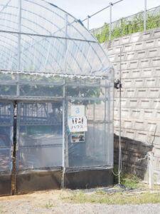 石原果樹園 INIハウス 石原果樹園 INIハウス